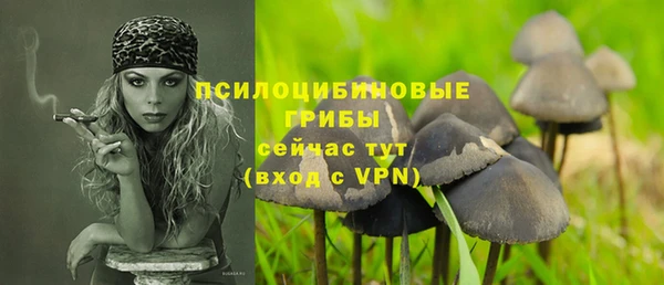 ешки Сосновка