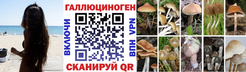 Галлюциногенные грибы ЛСД Белогорск